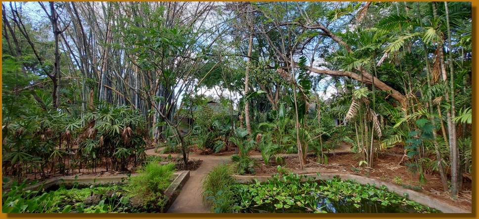 tropischer Garten im Boko Boko