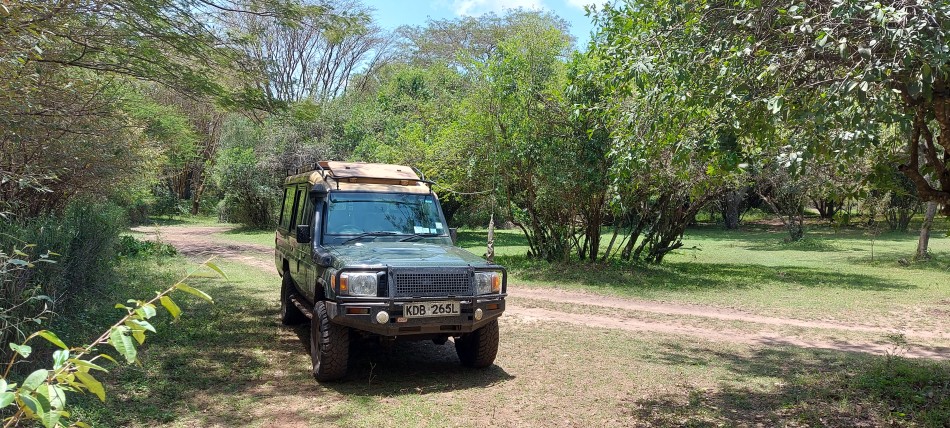 Aurba Mara Safari Camp - Talek, Masai Mara