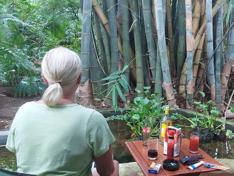 entspanntes Buschleben im Garten des Boko Boko