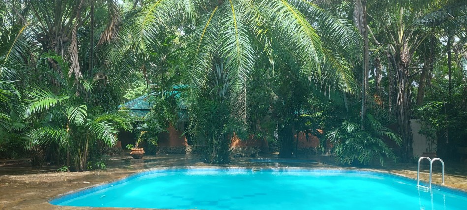 Pool im tropischen Garten, Boko Boko
