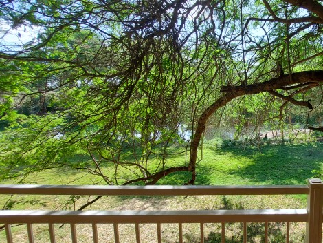 Hunters Lodge - Kiboko - Mombasa - Nairobi Highway