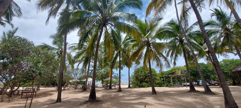 Kuruvitu / Vipingo Beach - Mombasa Nordküste