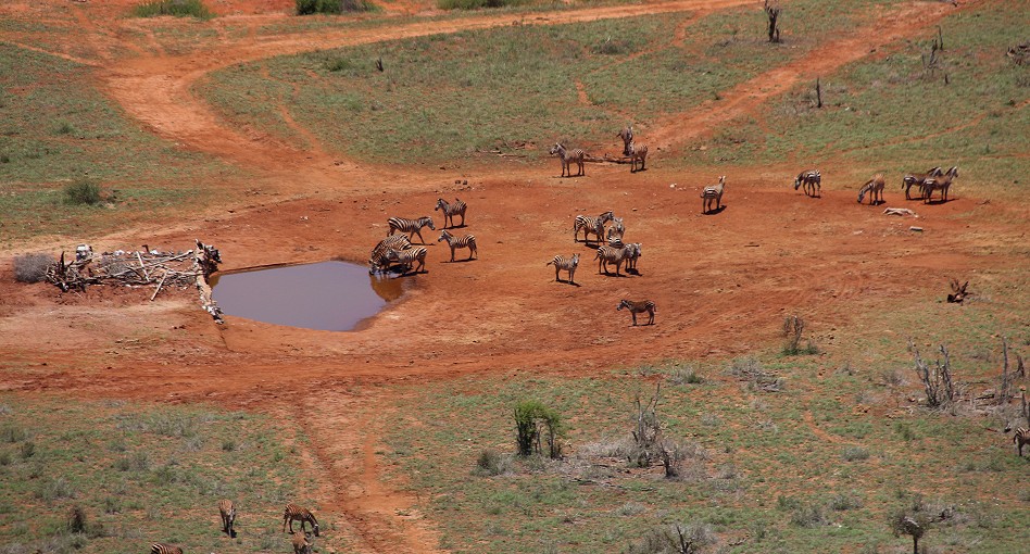 Soroi Lions Bluff Lodge - Lumo Conservancy, Tsavo