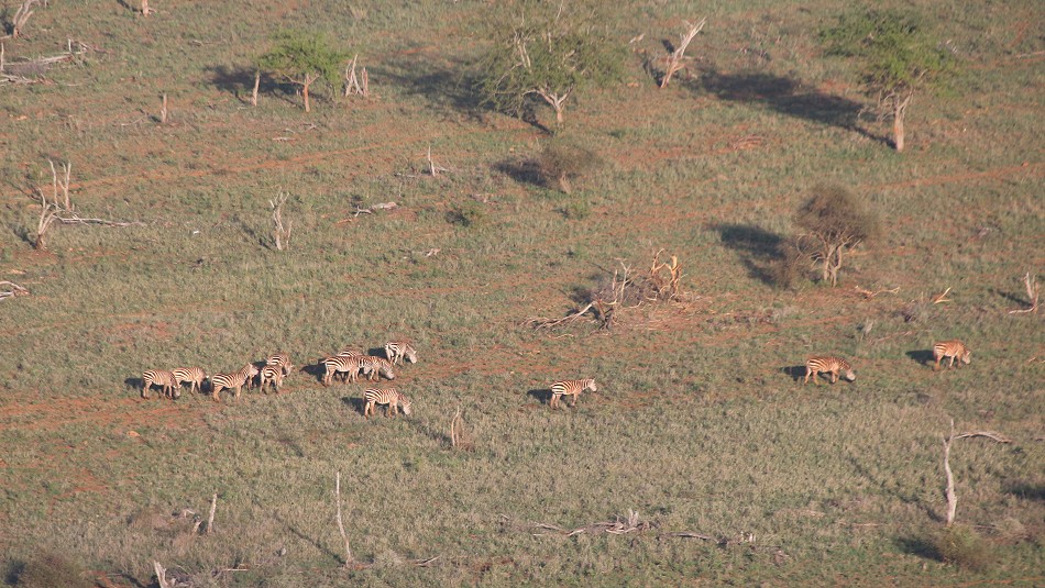 Soroi Lions Bluff Lodge