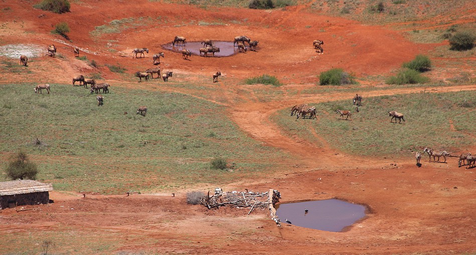 Soroi Lions Bluff Lodge - Lumo Conservancy, Tsavo
