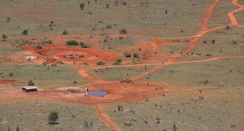 Soroi Lions Bluff Lodge - Lumo Conservancy, Tsavo