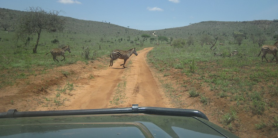 Soroi Leopards Lair Cottage - Lumo Conservancy, Tsavo