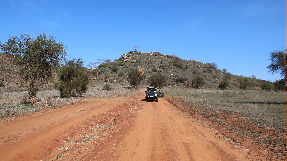 auf Pirschfahrt im Lumo Conservancy