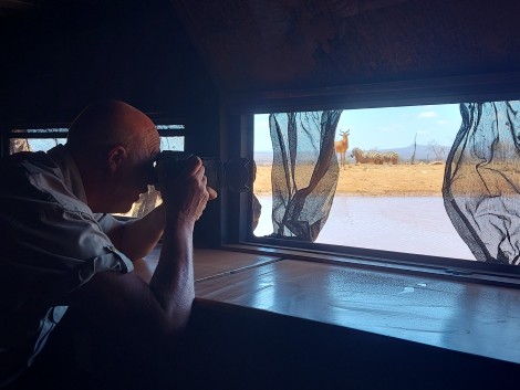 Soroi Lions Bluff Foto Hide - Lumo Conservancy