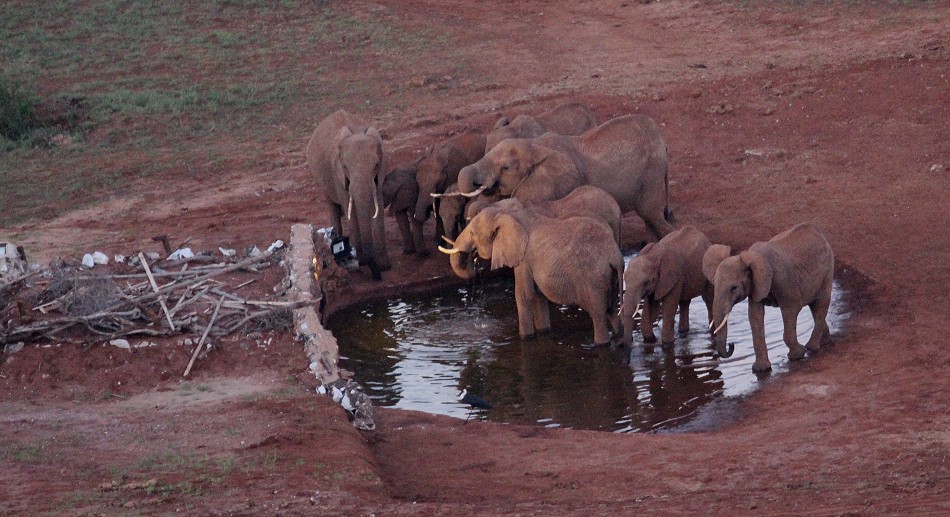 Foto Hide der Lions Bluff Lodge