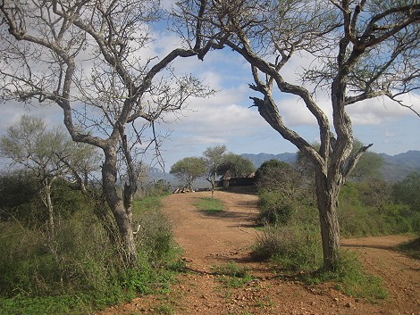 Kudu Hills