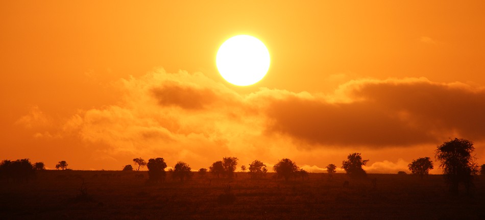 Sonnenaufgang im Lumo Reservat