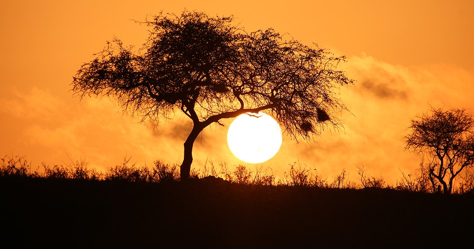 Sonnenaufgang im Lumo Reservat