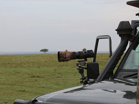 warten auf den Leoparden