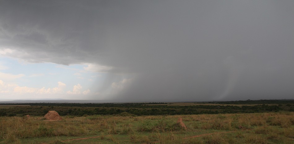 dunkler Himmel über der Masai Mara