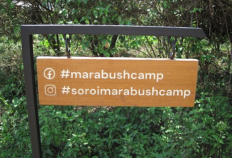 Soroi Mara Bush Camp - Bush Tent - Ol Kiombo, Masai Mara