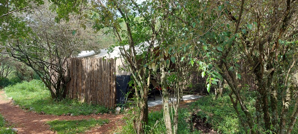 Soroi Mara Bush Camp - Bush Tent - Ol Kiombo, Masai Mara