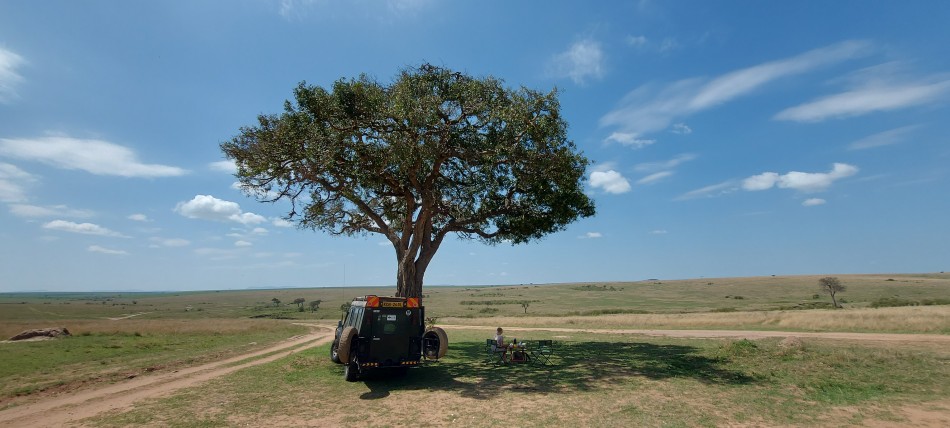 Buschfrühstück in der Masai Mara