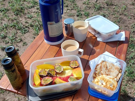 Petra und Jörg Reinecke, Buschfrühstück in der Masai Mara