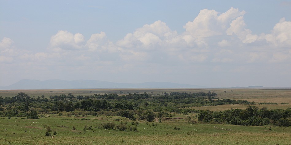 Ol Kiombo area, Masai Mara
