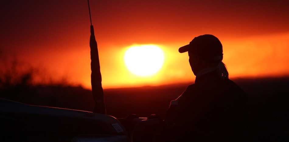 Sonnenuntergang in der Masai Mara