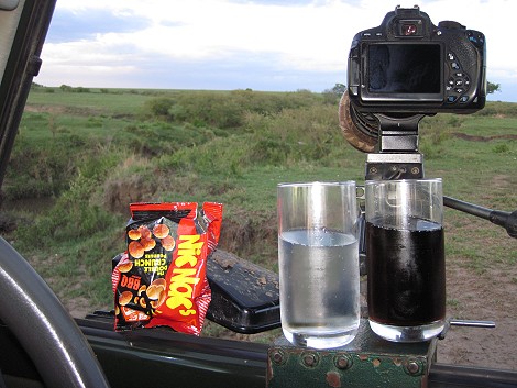 auf Leoparden Pirsch in der Masai Mara