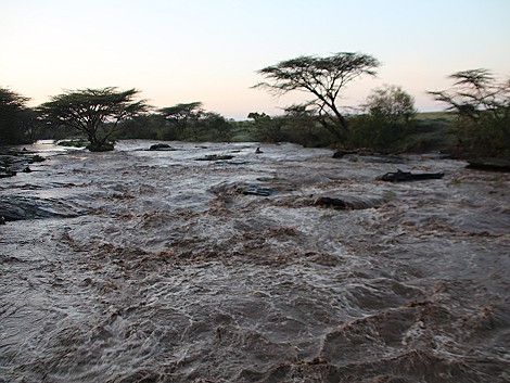 Hoachwasser im Talek River