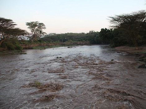 Hoachwasser im Talek River