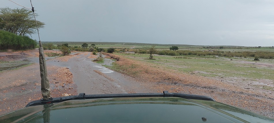 Unwetter in der Masai Mara