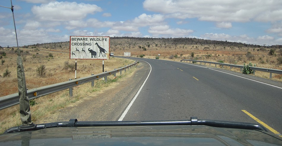Taita Hill Reservat