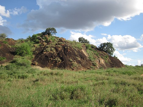 Lion Rock, Lumo Conservancy