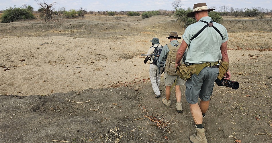 Zu Fuß auf Raubkatzensuche im Hwange National Park