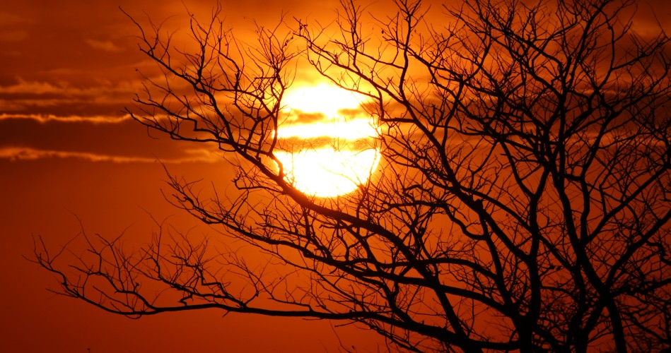 Sonnenuntergang im Hwange