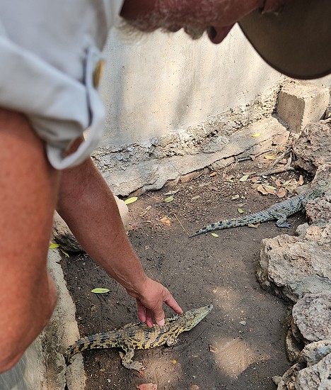 Crocodile Park - Victoria Falls