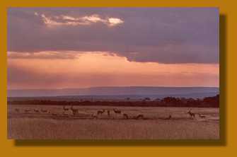 Sonnenaufgang, Masai Mara