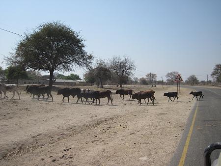 Caprivi