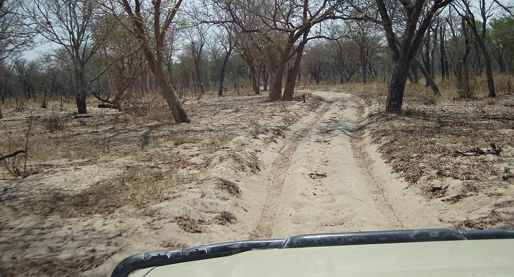 Bwabwata National Park - Buffalo Core Area