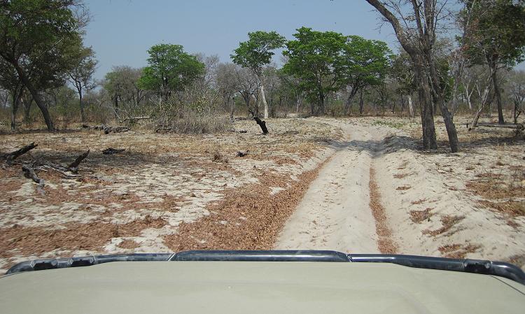 Bwabwata National Park - Buffalo Core Area