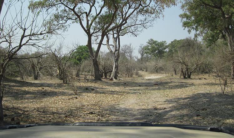 Bwabwata National Park - Buffalo Core Area