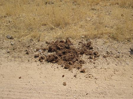 Erongo Mountain Conservancy