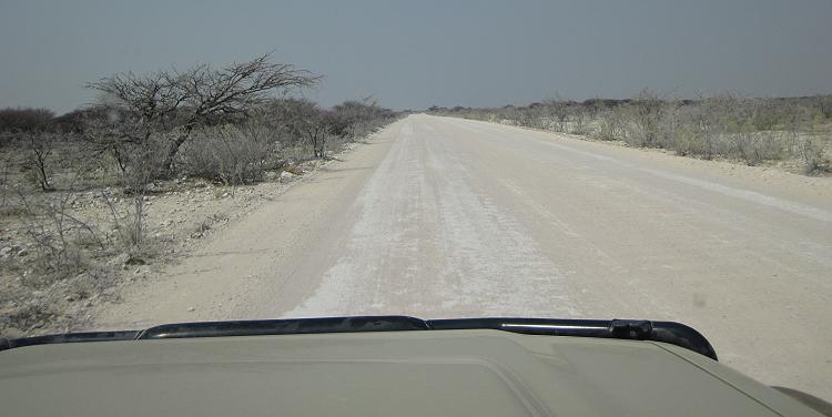 Etoscha National Park