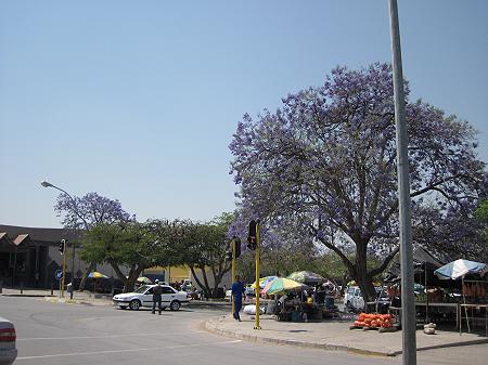 Grootfontein