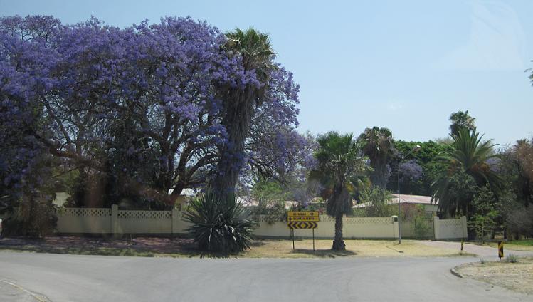 Grootfontein