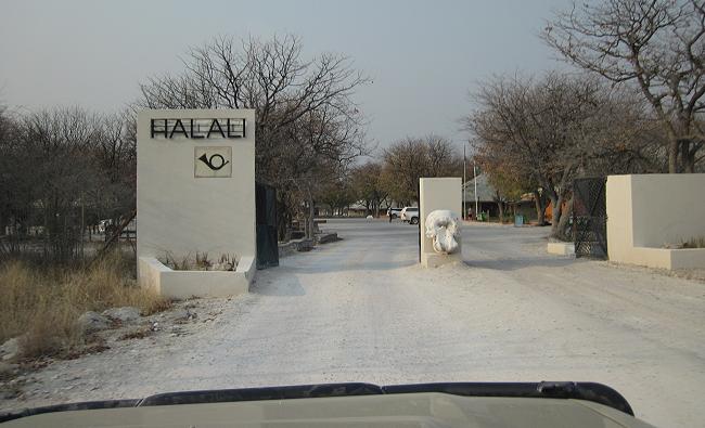 Halali