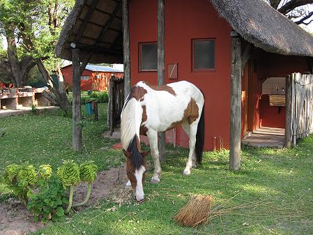 Kaisosi River Lodge