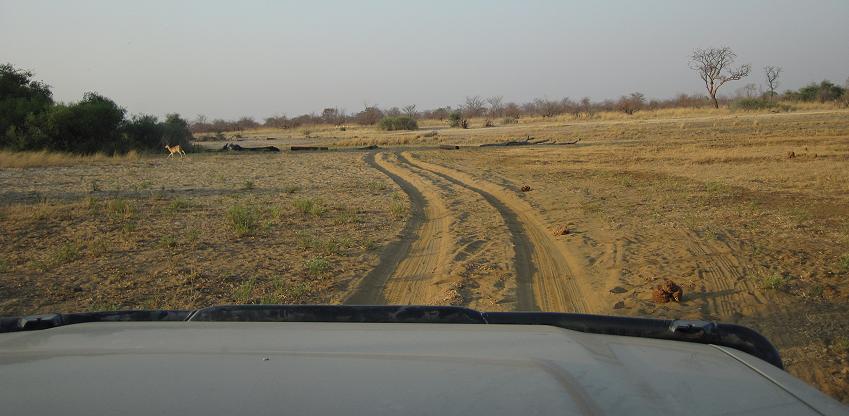 Bwabwata National Park - Mahango Core Area