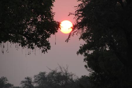 Zambesi Bush Camp 3 - Ilala, mana pools national park