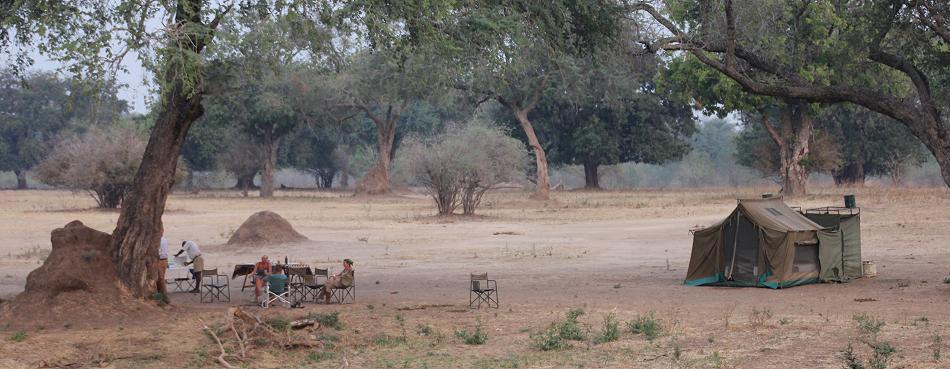 Zambesi Bush Camp - Chesa, Mana Pools National Park