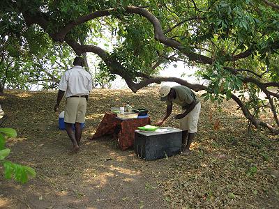 bush walk with Henry Bandure - Mana Pools National Park