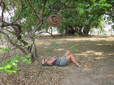 bush walk with Henry Bandure - Mana Pools National Park